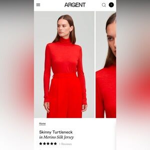 NWT Argent Skinny Turtleneck in Merino Silk Jersey